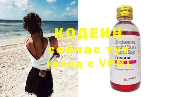 прущий лед Алзамай