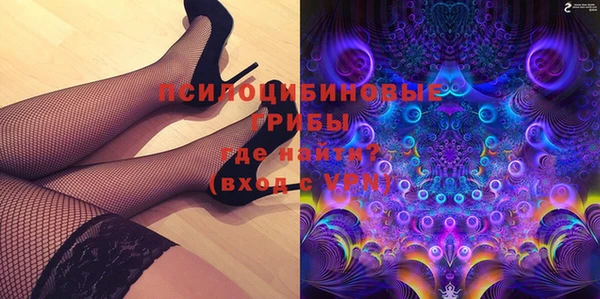 прущий лед Алзамай