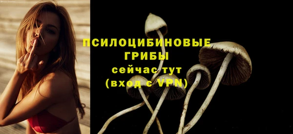 метадон Абдулино