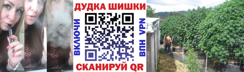 Конопля конопля Сухиничи